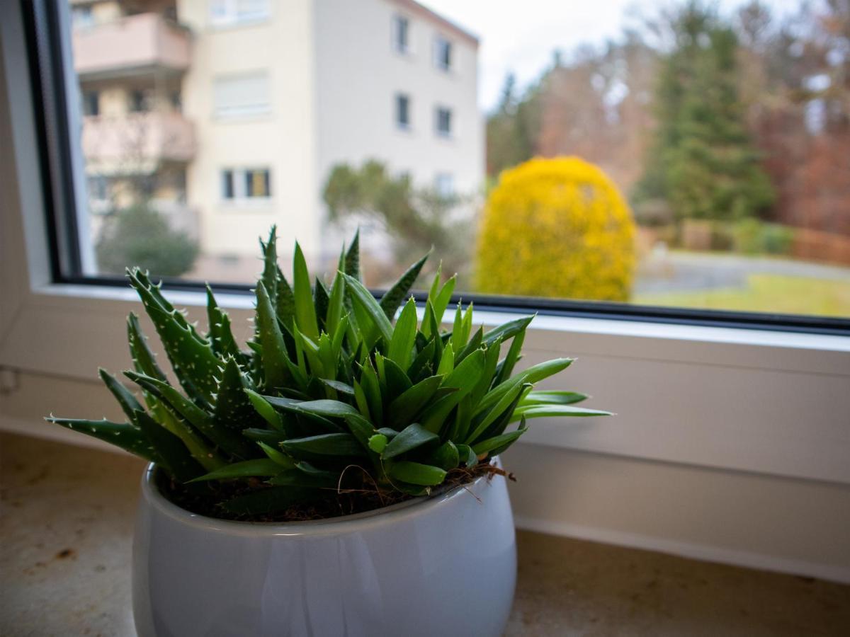 Seewaldblick - Ferienwohnung Am Bodensee FDH Zewnętrze zdjęcie