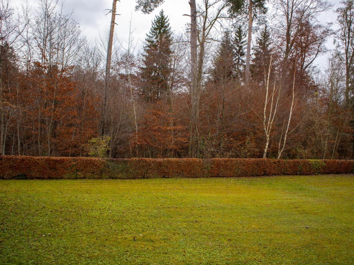 Seewaldblick - Ferienwohnung Am Bodensee FDH Zewnętrze zdjęcie